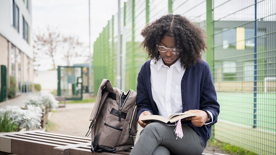 Link to healthy and happy schools